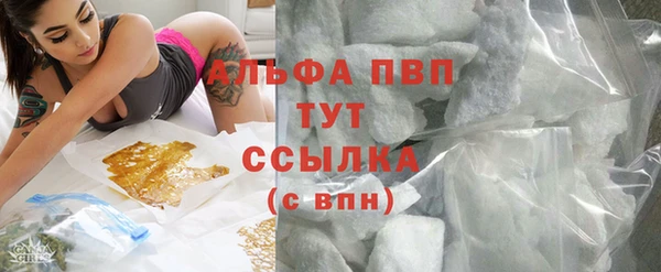 стаф Новодвинск