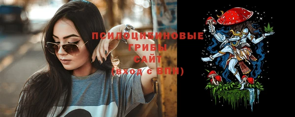 МДПВ Новозыбков