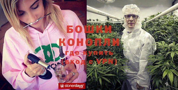 стаф Новодвинск