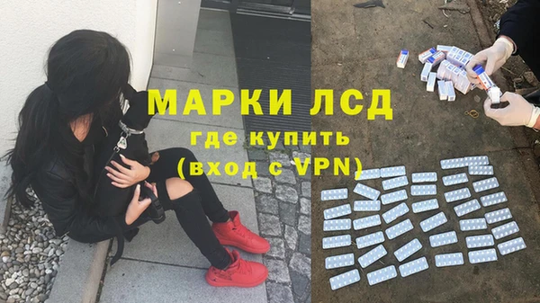 стаф Новодвинск