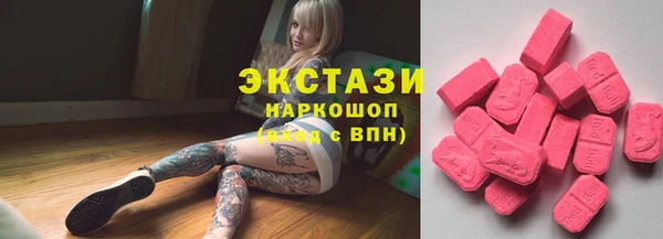 стаф Новодвинск
