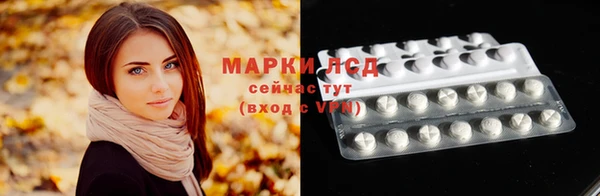 МДПВ Новозыбков