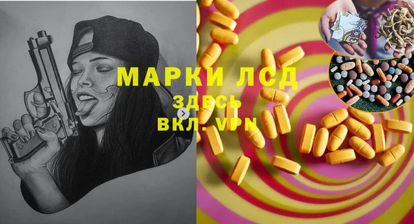 стаф Новодвинск