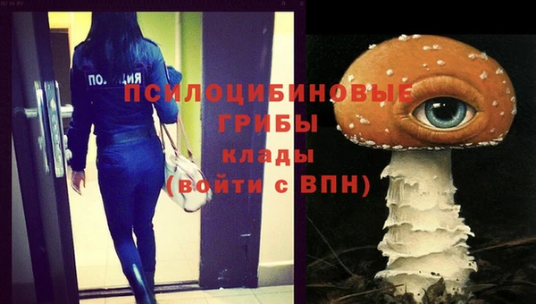 ALPHA-PVP Новокубанск