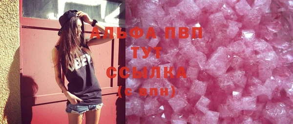 стаф Новодвинск