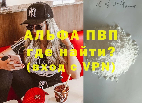 стаф Новодвинск