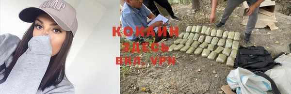 стаф Новодвинск