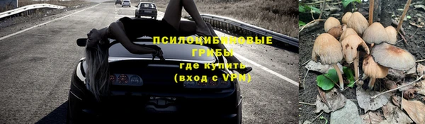 герыч Белая Холуница