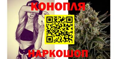 apvp Канаш