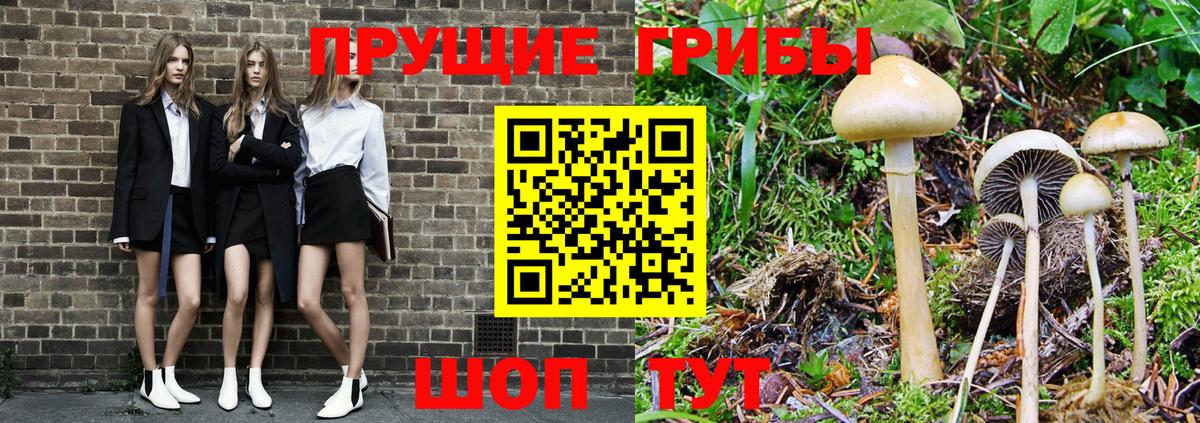 Кондопога  Галлюциногенные грибы ЛСД  Вход с VPN 