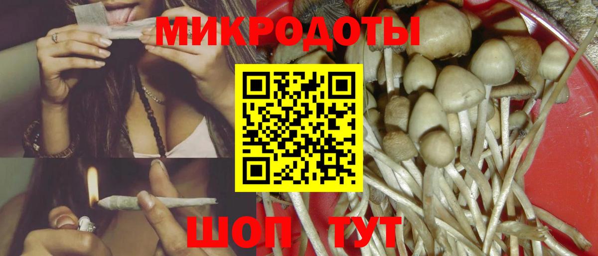 Галлюциногенные грибы GOLDEN TEACHER Кондопога
